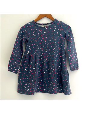 Tucker Tate Girl Hearts Dress Long Sleeves Valentine’s Blue Pink Cozy Size 6
